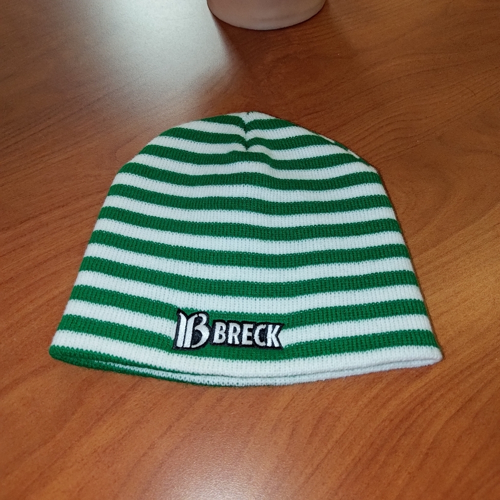 Breckenridge Ski Resort Stripped Skull Beanie